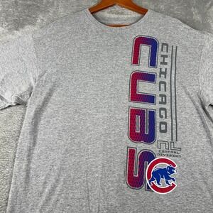 Y2K Chicago Cubs Shirt Mens XL MLB Baseball Gray Central Division 2000s Spellout